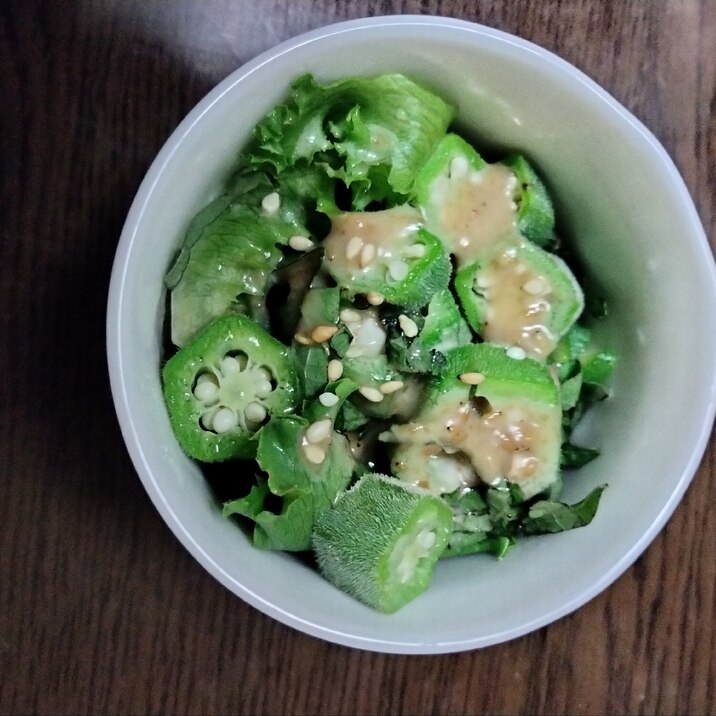レタス大葉オクラ 胡麻ドレサラダ
